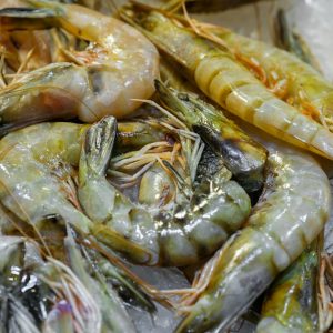 Langostino fresco